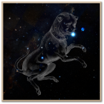 Canis Major