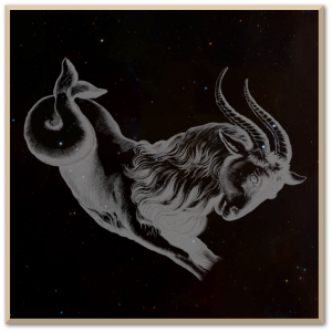 Capricornus