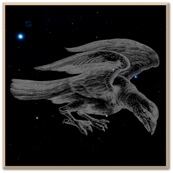 わし座（Aquila） ア・ゲイン・シエラ