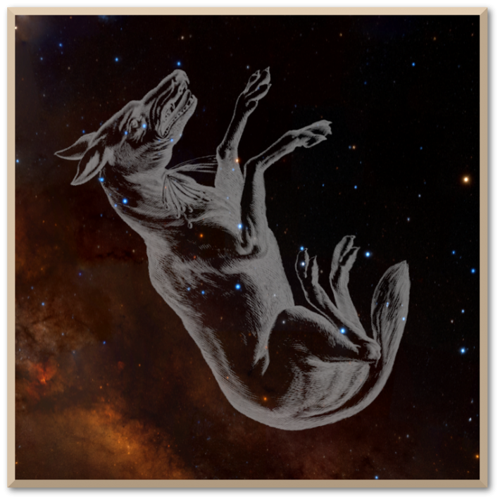 わし座（Aquila） ア・ゲイン・シエラ