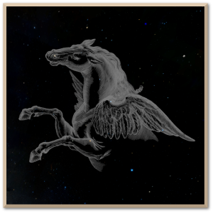 Pegasus