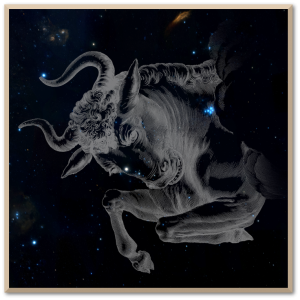 Taurus