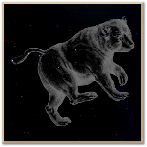 Ursa Major