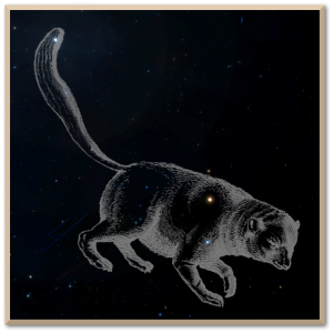 Ursa Minor